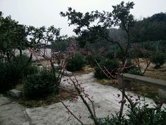 -雨花胜境