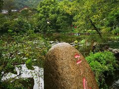 -杭州花家山庄
