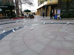 -中粮·祥云小镇