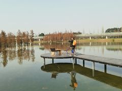 -白鹭湾湿地公园