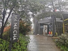 -MAMACHA妈妈茶(岳麓山店)