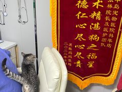 -半岛宠物医院24小时(科华中路店)