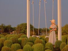 -花开海上生态园