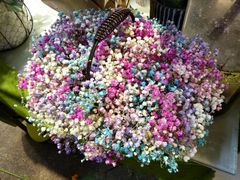 -双季花艺园艺市场(浦东店)