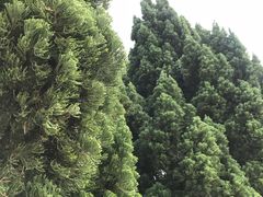 -南沙蒲洲花园