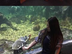 -暹罗海洋世界