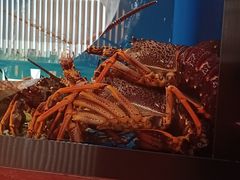 -西村日本料理(香格里拉饭店)