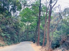 -广州市帽峰山景区