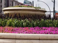 -虹口区工人文化宫