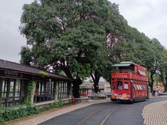 -赤坎·广东华侨国际旅游度假区