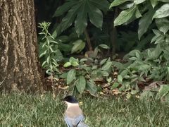 -郑州植物园