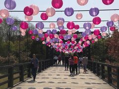 -合肥三国新城遗址公园