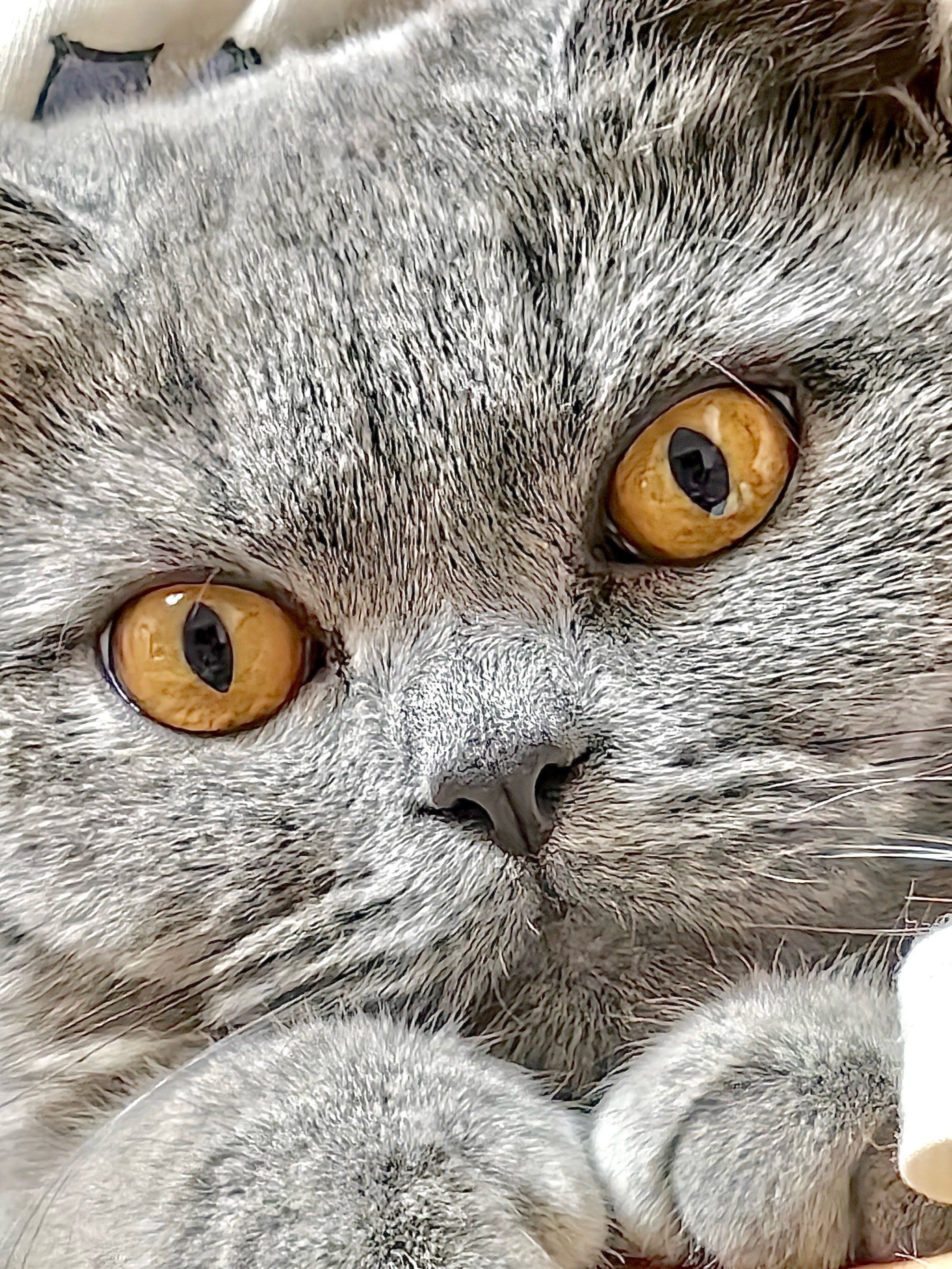 瞅瞅我们这卡姿兰大眼睛