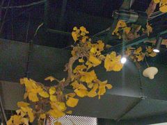 -京味斋·烤鸭·北京菜(安贞店)