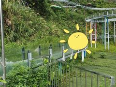 -长沙黑麋峰国家森林公园