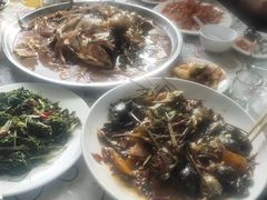 -庆岭迎宾园正宗活鱼馆