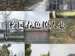 -四川大学(江安校区)