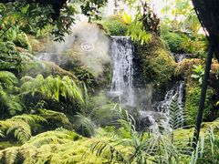 -Chom Cafe and Restaurant