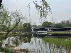 -日出青木