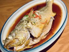 油泼黄花鱼-波螺油子·海肠捞饭·青岛菜(市南银座店)