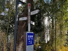 -香积寺