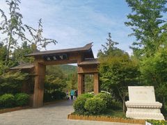 -习家池