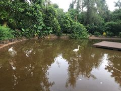 -海南热带野生动植物园