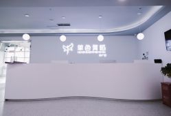 -单色舞蹈
