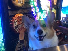 -胖锅轩(水塔店)
