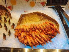 -九寨鲁能希尔顿度假酒店·開
