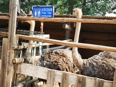 -呀路古热带植物园