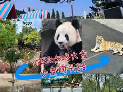 -大连森林动物园