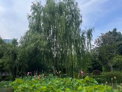 -四川大学(华西校区)