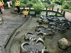 -成都市活水公园