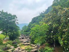 -桃花岭景区