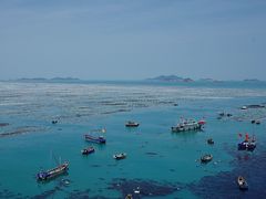 -枸杞岛