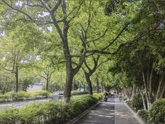 -灵顺寺