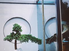 -杜家小馆(裕华路店)