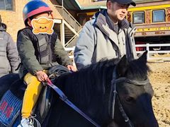 -世纪飞马幼儿园(西城校区)