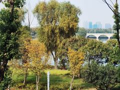 -东南大学(九龙湖校区)