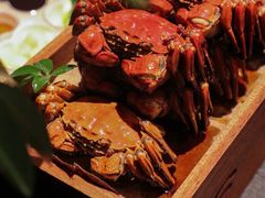-苏州知音温德姆至尊酒店·四季海鲜自助餐厅(汾湖店)