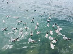 -青海湖二郎剑景区