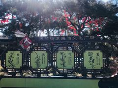 -郭记小街麻辣烫(虎坊路店)