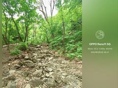 -香炉山国家森林公园