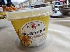 奶皮子酸奶-凯鸽酒楼(操场城店)