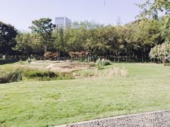 -后襄河公园
