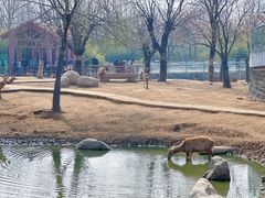 -临沂动植物园