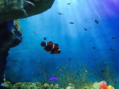 -福州罗源湾海洋世界旅游区