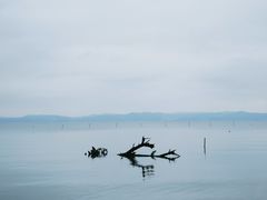 -捞渔河湿地公园