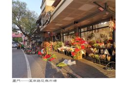 -溪岸路花鸟市场
